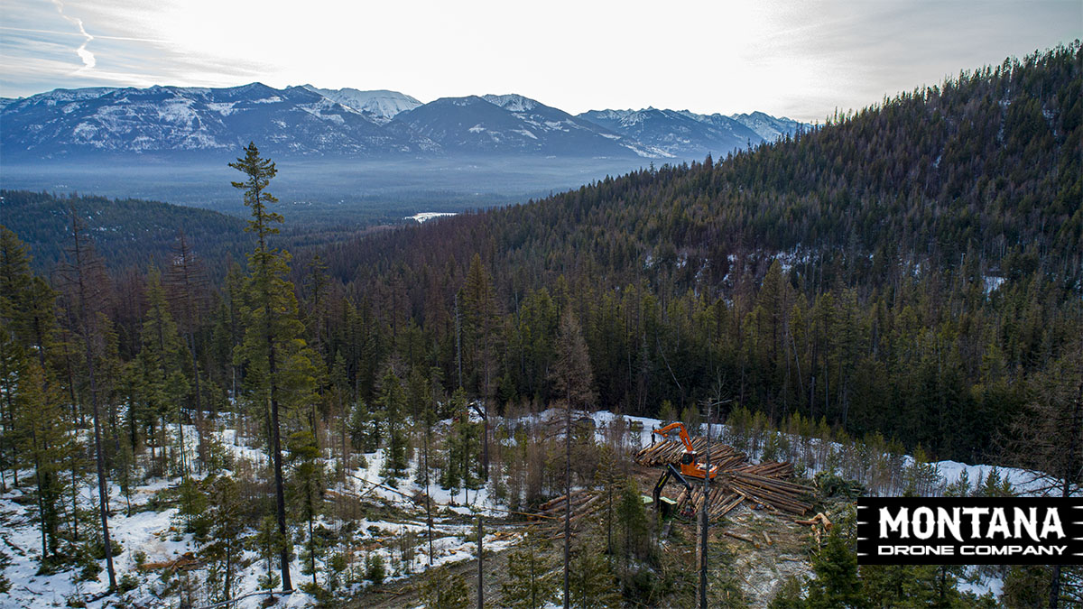 20200312 Montana Aerial Logging Photograph A Loggers Isolation