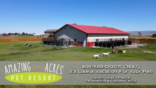 amazing acres pet resort pet boarding in belgrade mt thumbnail