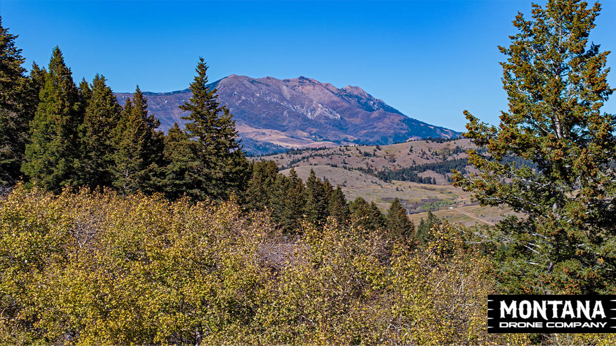 Bridger Mountains Fall 2025 Fischer Photography