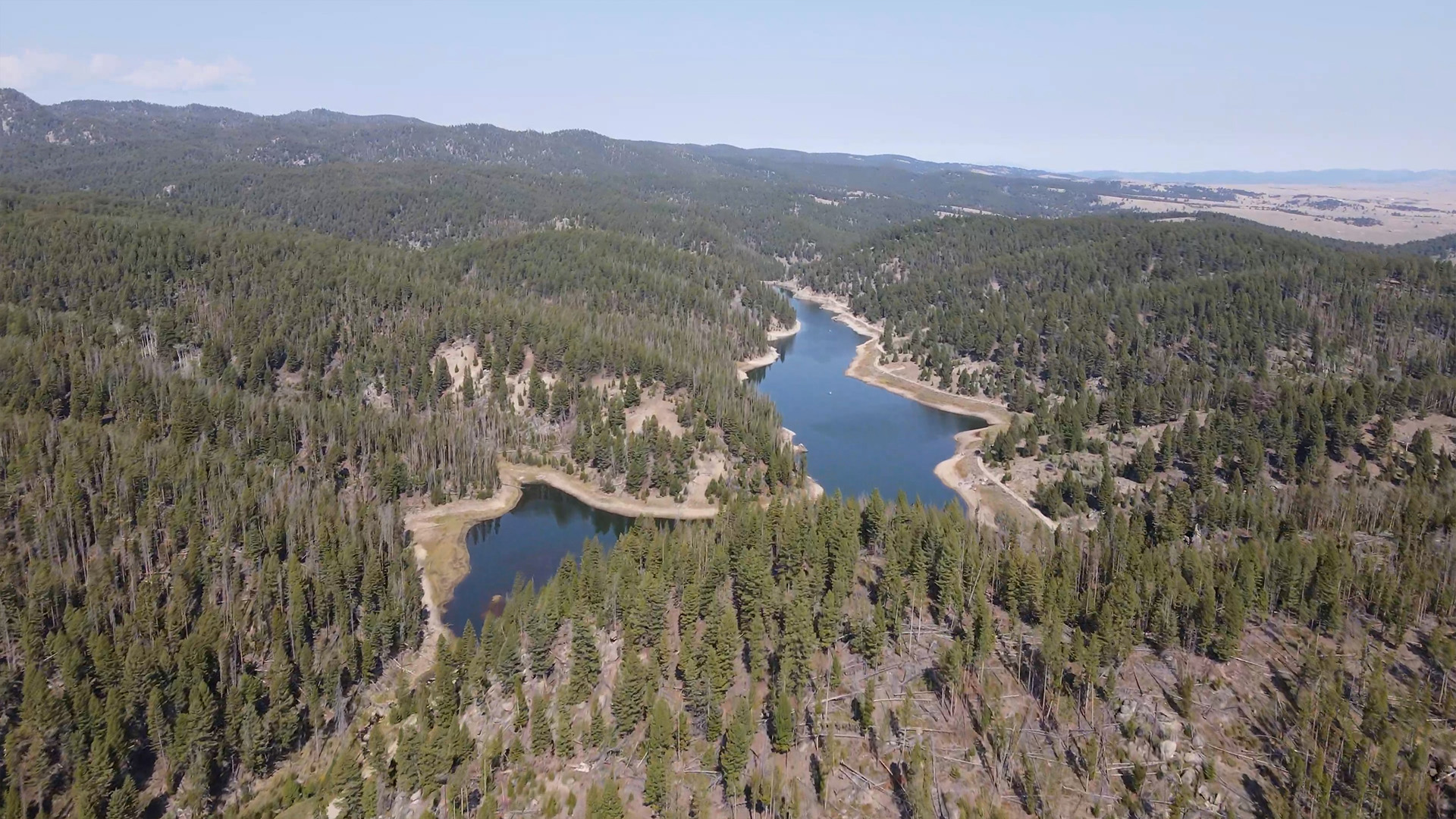 Butte Silver Bow Water Project | Fuel Reduction for Basin Creek Reservoir