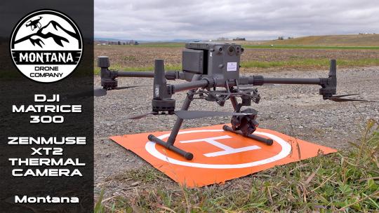 cattle project dji matrice 300 zenmuse xt2 thermal camera thumbnail