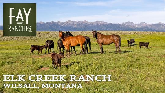 elk creek ranch wilsall montana summer footage thumbnail