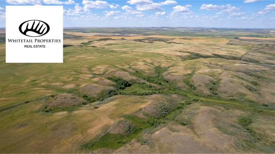 farm ground for sale in northeastern montana thumbnail