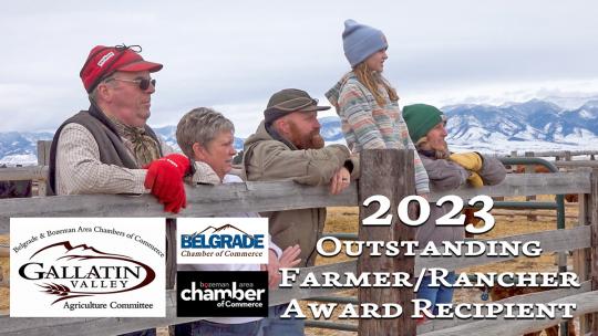 feddes red angus 2023 gallatin county rancher farmer award winner thumbnail