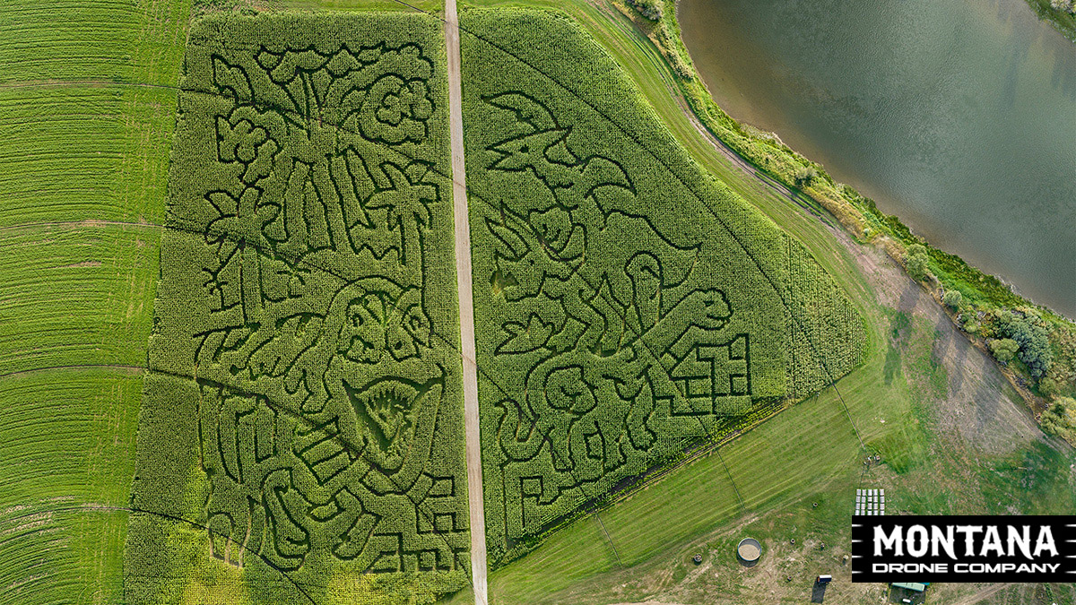 montana corn maze edgewater farms townsend mt