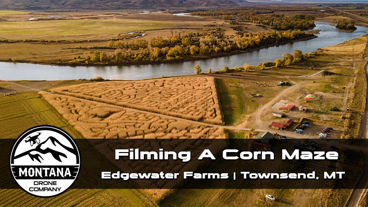 Filming Corn Mazes with Drones | Edgewater Farms Corn Maze Drone View
