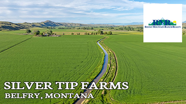 montana farm land for sale silver tip farms belfry mt thumbnail