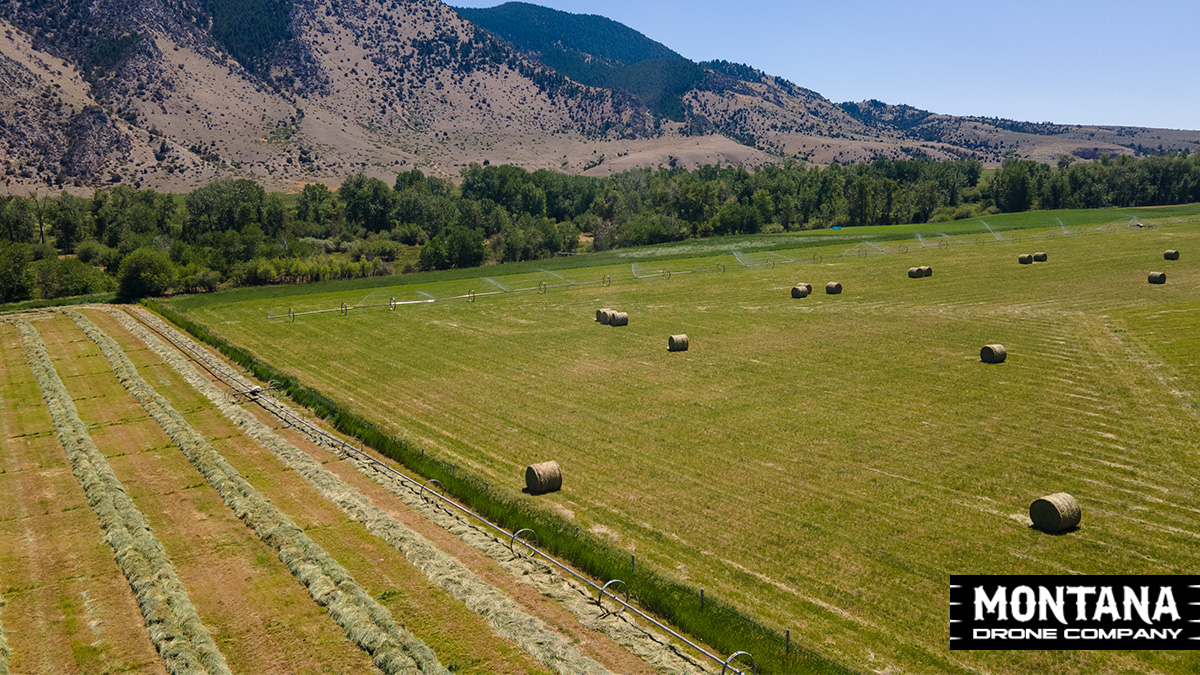 Montana Greens Hay Fields  Hay Rows Bailed Round Bales