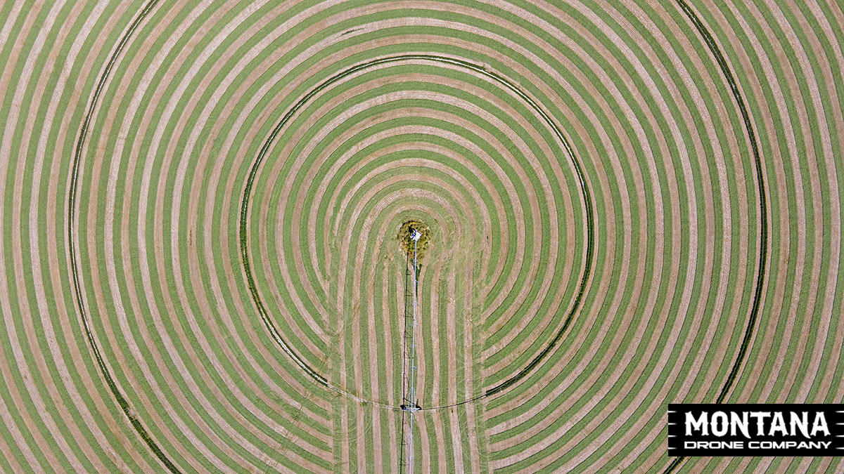 Montana Hay Field Under A Pivot Cut And Ready To Bail