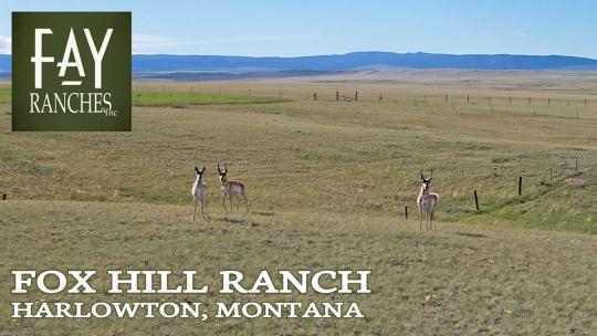montana land for sale fox hill ranch harlowton mt thumbnail