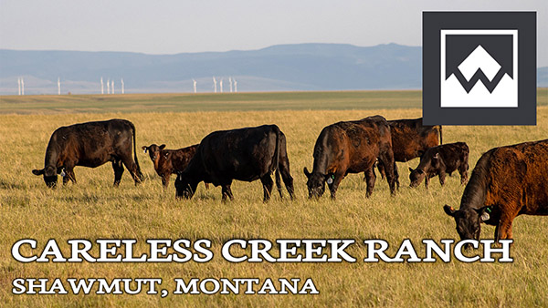 montana ranch for sale careless creek ranch shawmut mt thumbnail