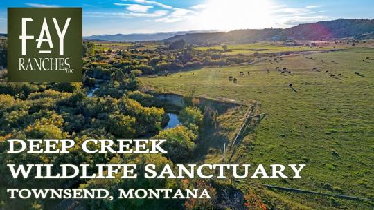 montana ranch for sale deep creek wildlife sanctuary fay ranches thumbnail