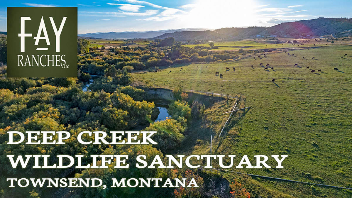 Montana Ranch For Sale | Deep Creek Wildlife Sanctuary | Fay Ranches