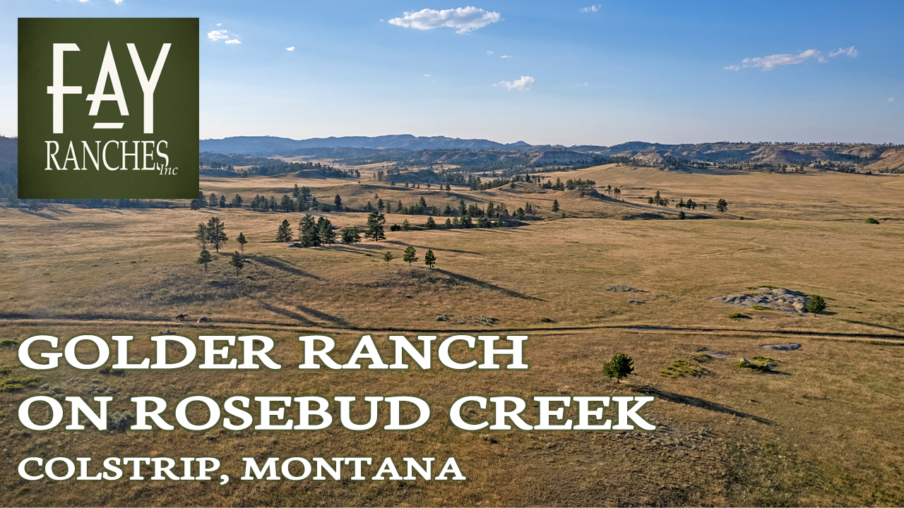 Montana Ranch For Sale | Golder Ranch | Colstrip MT