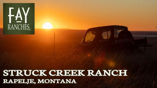 montana ranch for sale struck creek ranch rapelje mt thumbnail