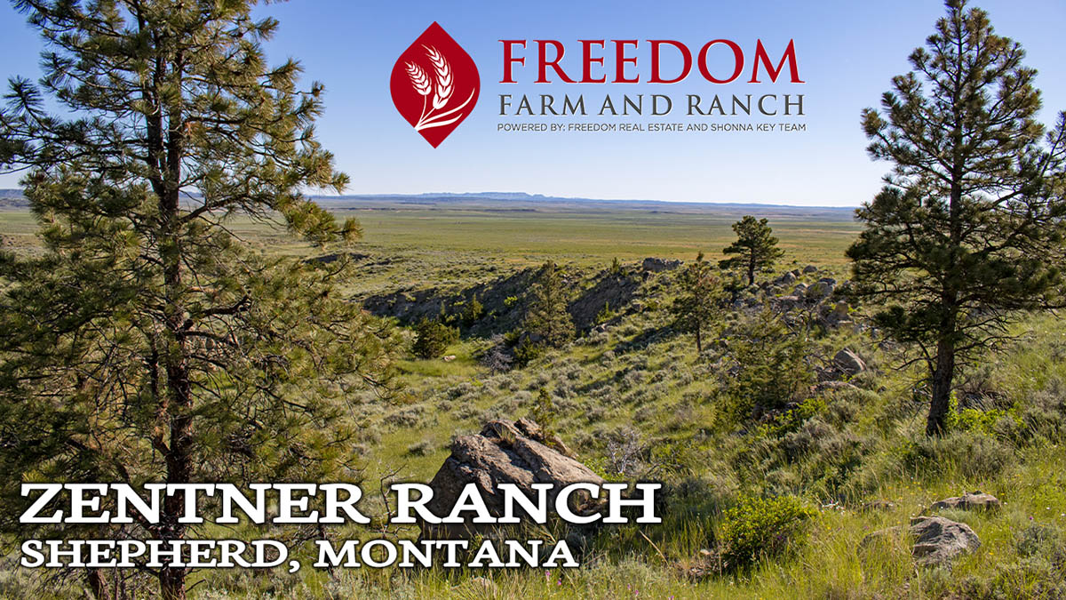 Montana Ranch For Sale | Zentner Ranch | Shepherd, MT