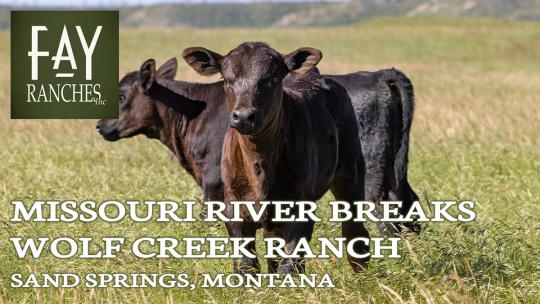 montana ranches for sale wolf creek ranch thumbnail