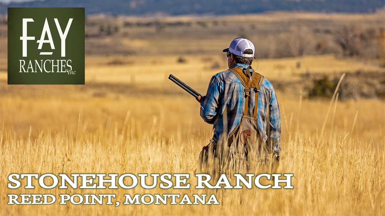 Montana Sharptail Bird Hunting | Ranch For Sale