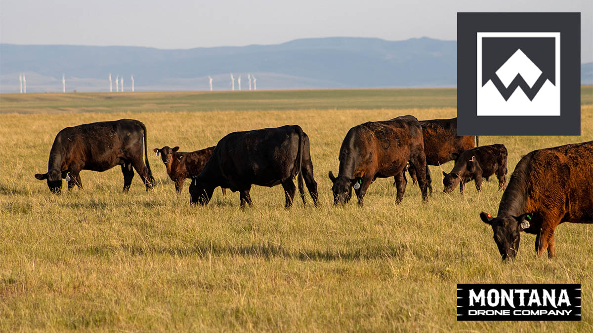 mt ranches for sale careless creek ranch