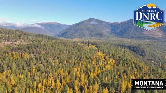 rabbit tracts project montana dnrc fuels reduction thumbnail