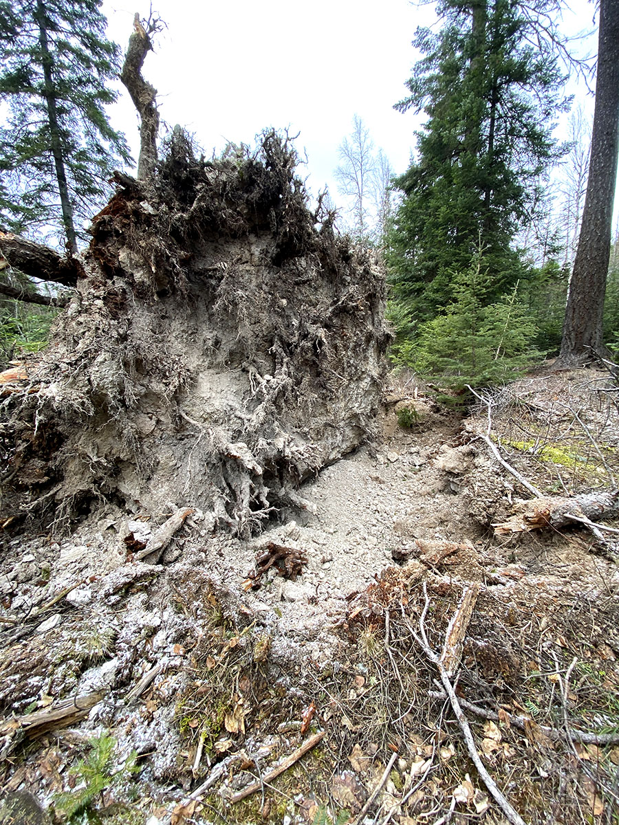 Savage Windstorm Photograph 3