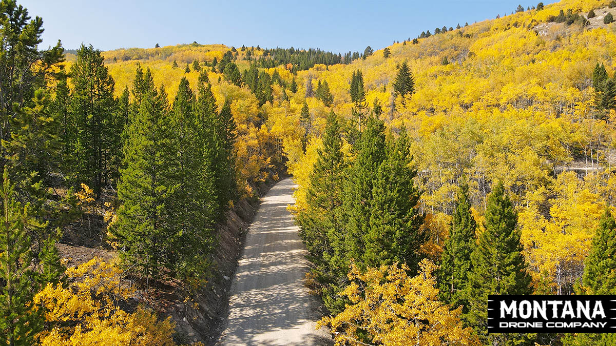 The Grounded Path Montana Mountain Fall Colors 2020