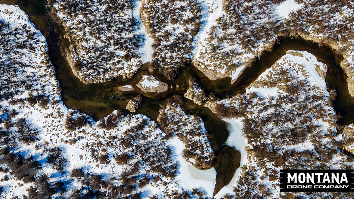 Top Down Aerial River Photo Swamp Monster Pilot Schwartz