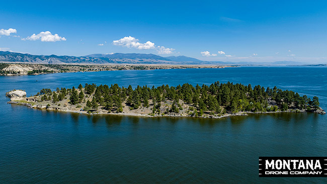 Cemetary Island By Pilot Schwartz